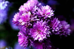 短信验证码轰炸